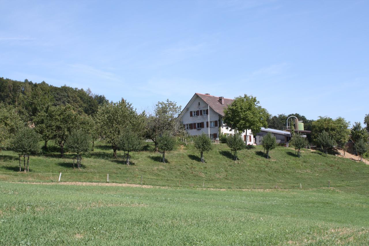 Bnb Im Waldhof Bachenbulach Exterior photo